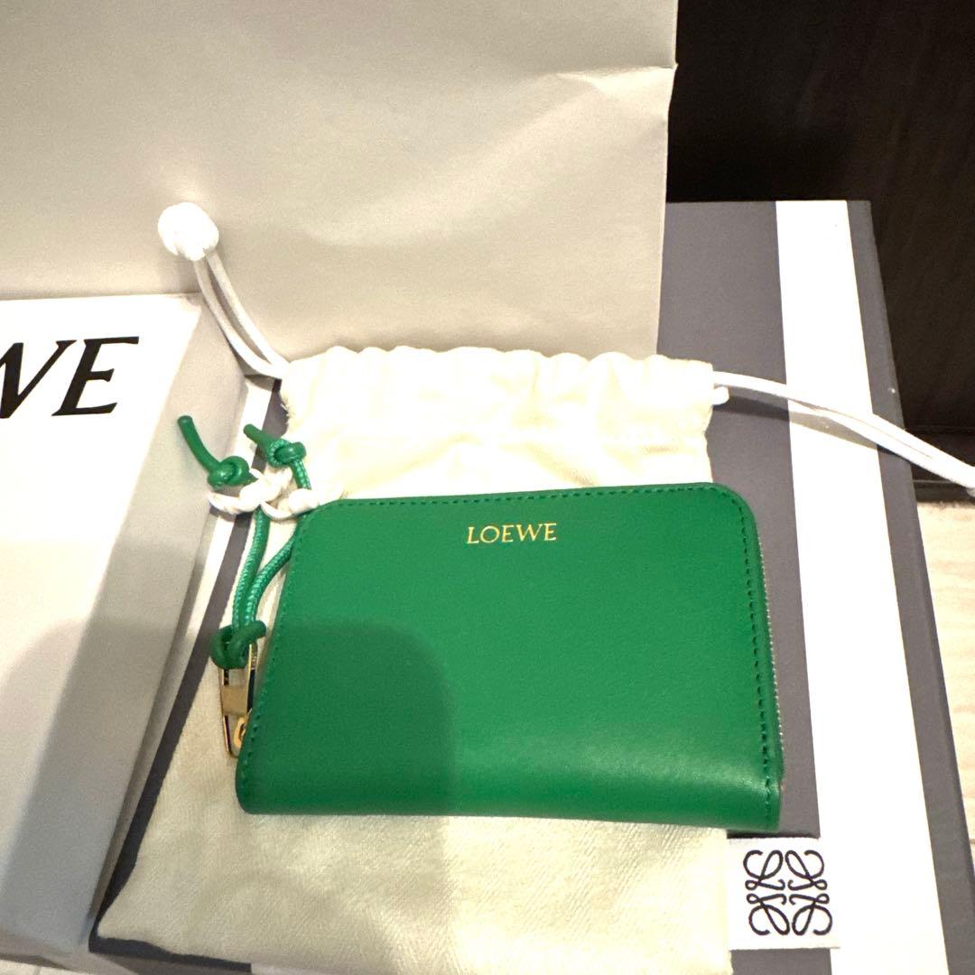 新品⭐︎ロエベ⭐︎デイジージップパース