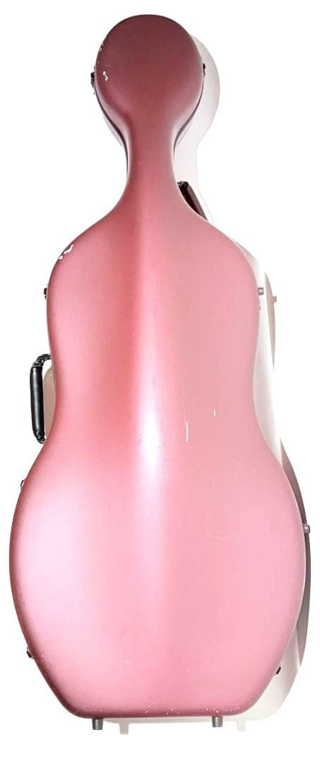 Stefan Kreul ステファン・クロイル 2018年製 チェロ 130万円