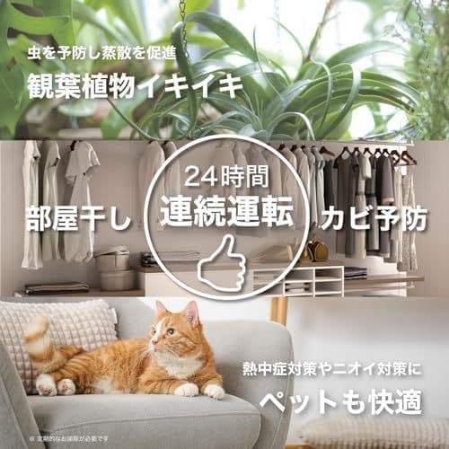 【美品箱あり】ボルネード サーキュレーター 533DC-JP 2023年