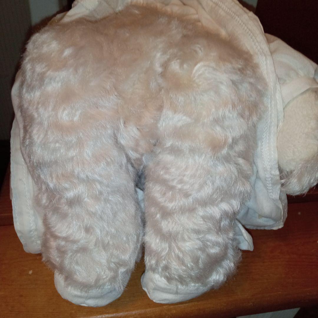 シュタイフ　マドモアゼルアイコ