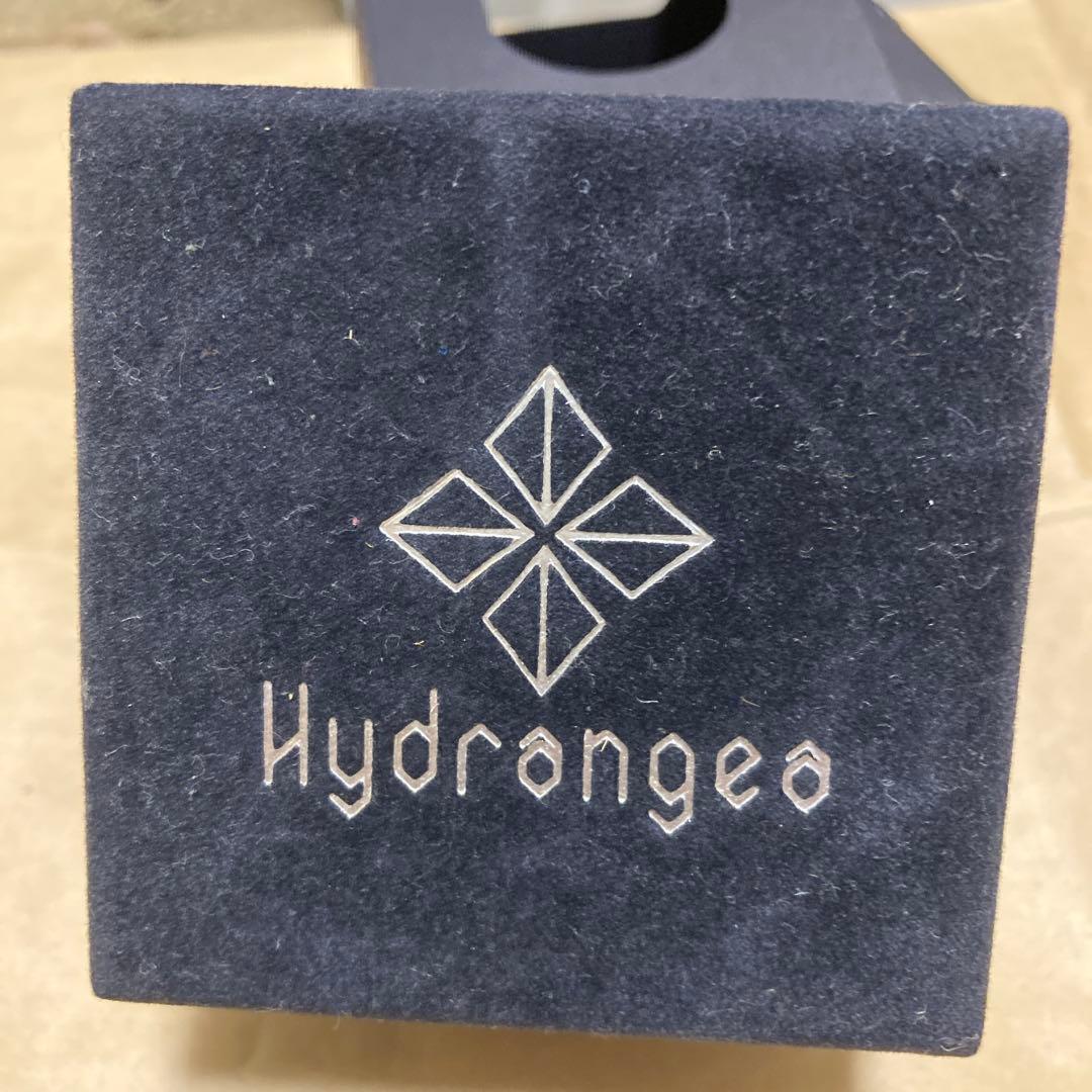 スポーツトイ・アクショントイ Hydrangea - Berberis