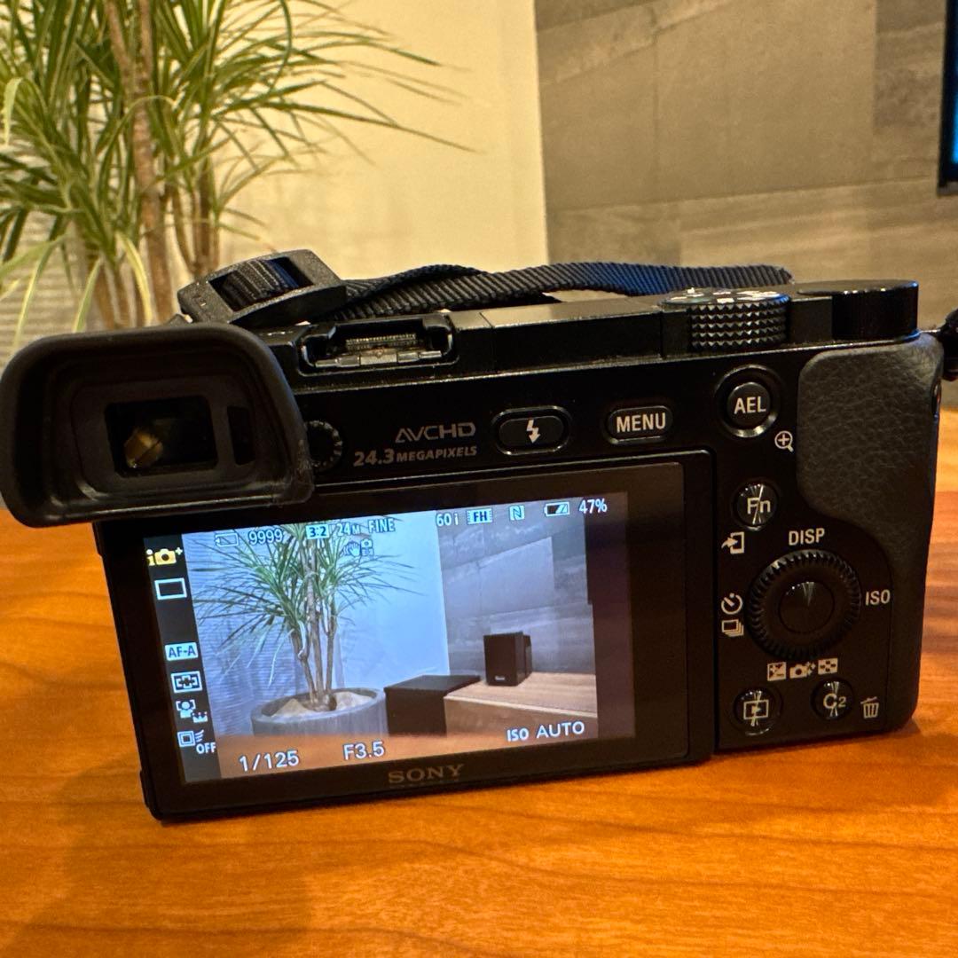 SONY α6000 ILCE-6000Y ダブルズームレンズキット - メルカリ