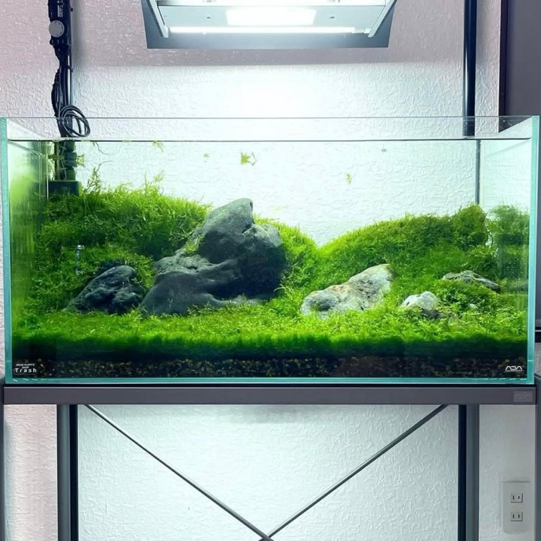 八海石セット 16.6kg