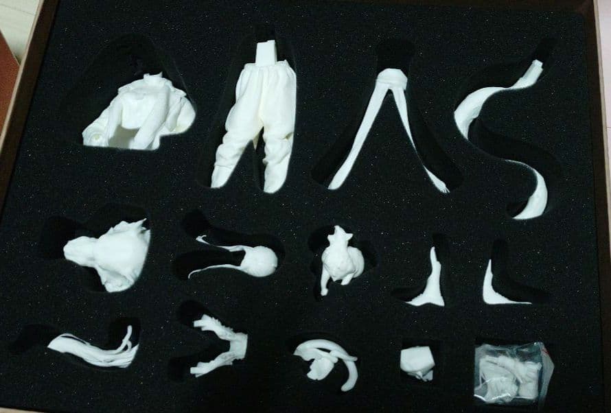 エンテイリュウ TIGIRL ガレージキットEntei Ryu　未塗装未組立