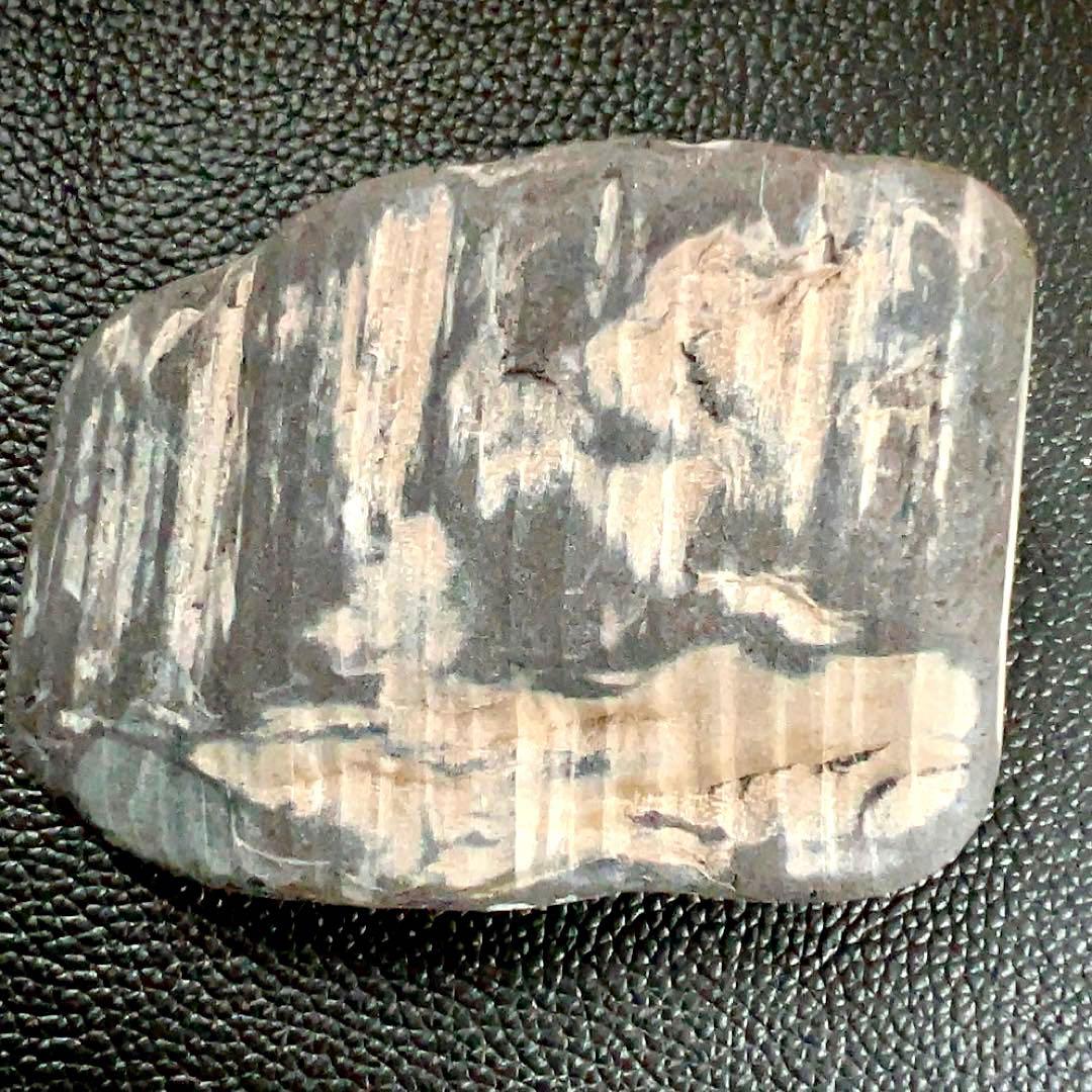 珪化木 化石木 ペトリファイドウッド 【福岡県産】No.77 - メルカリ