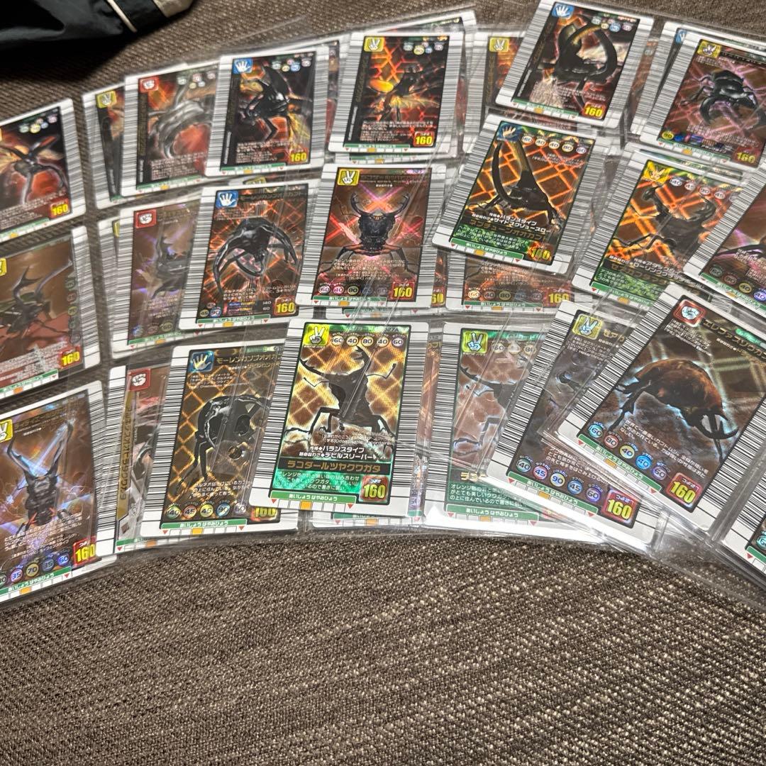 ヘラクレスオオカブトの特大標本 D.hヘラクレス 大型 野外標本