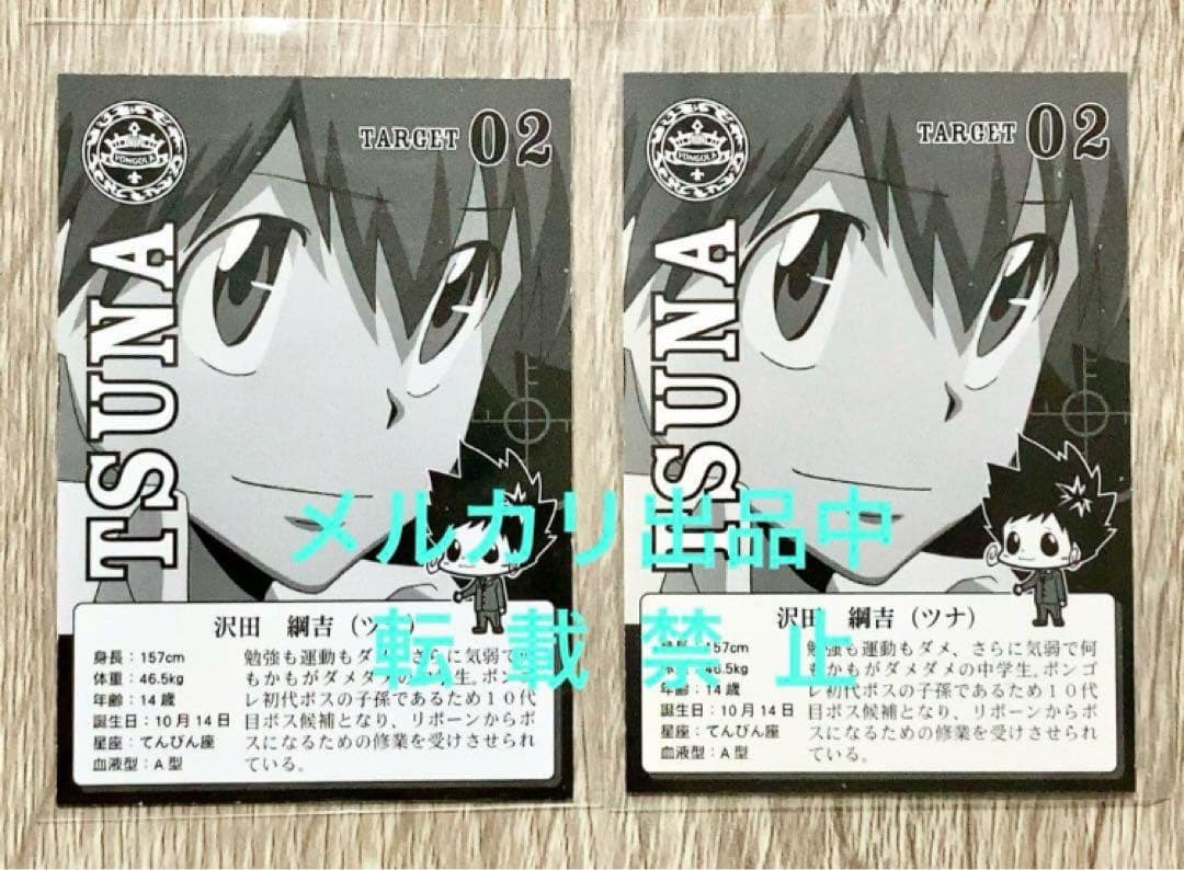 希少 プレミアムカラー 沢田綱吉 リアルペイントシート カード リボーン