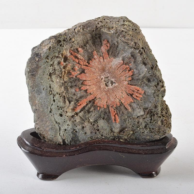天然石 鑑賞石 菊花石 置物 重さ約392g 唐木台付 V R6492 - メルカリ