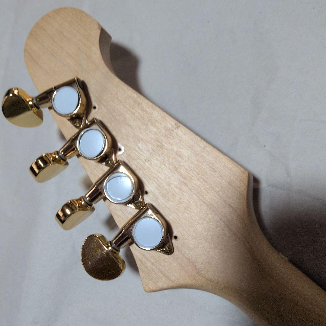 エピフォン風マインドバードスタイル-エレキマンドリン!!!