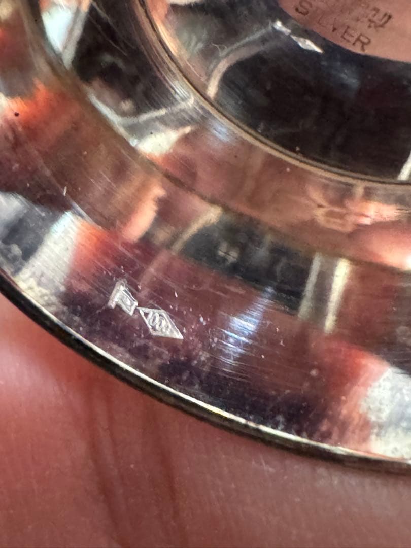 銀杯約205g その他銀24g シルバーF64g