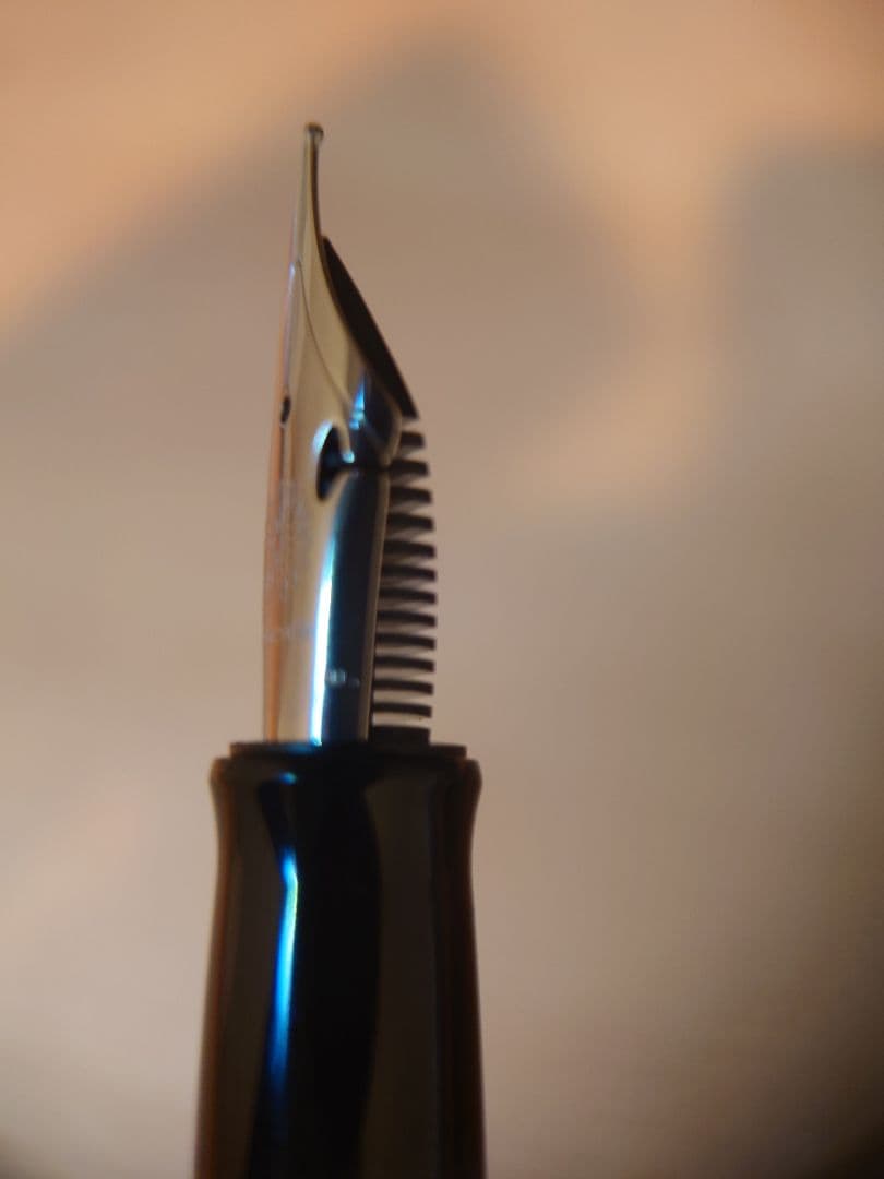 WANCHER　世界樹漆　フレックスニブ　字幅F 細字　万年筆