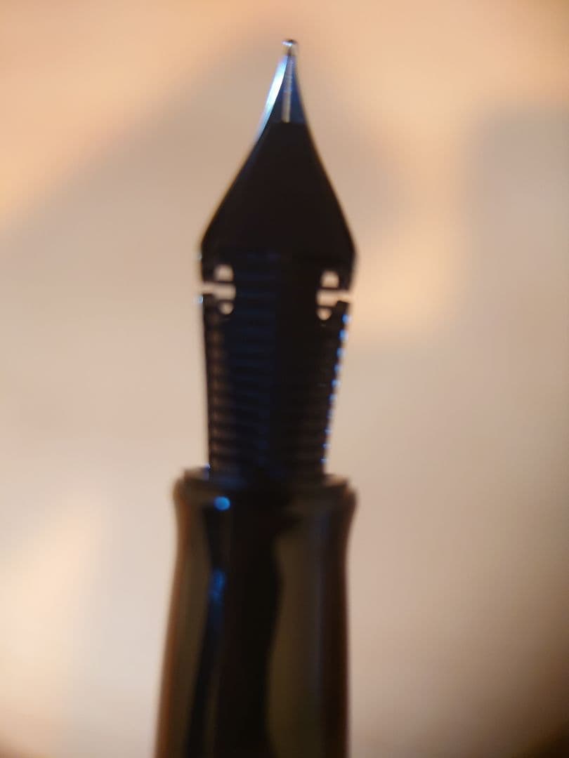 WANCHER　世界樹漆　フレックスニブ　字幅F 細字　万年筆