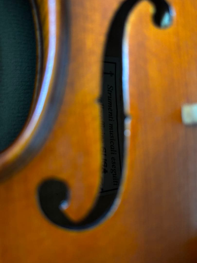 gliga gems 1/2 2006年製　バイオリン ケース付き