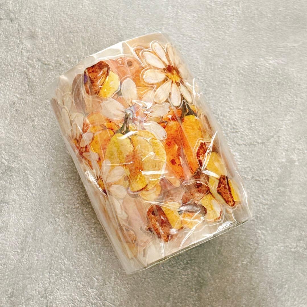 ⭐️SALE⭐️小白家文創《南瓜派》海外マスキングテープ マステ 【2747】