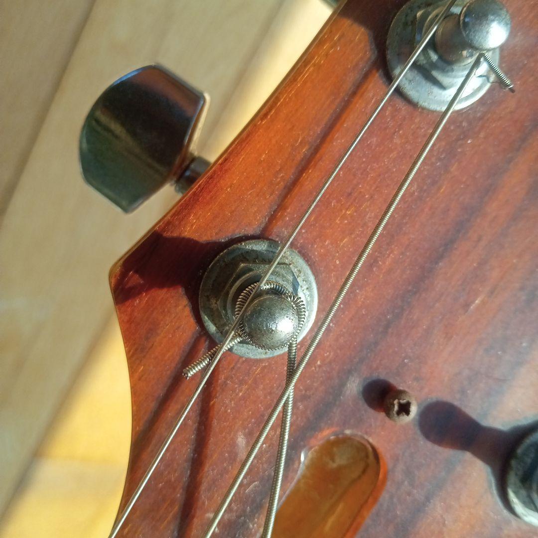 BCrich イーグル580ギター パープル