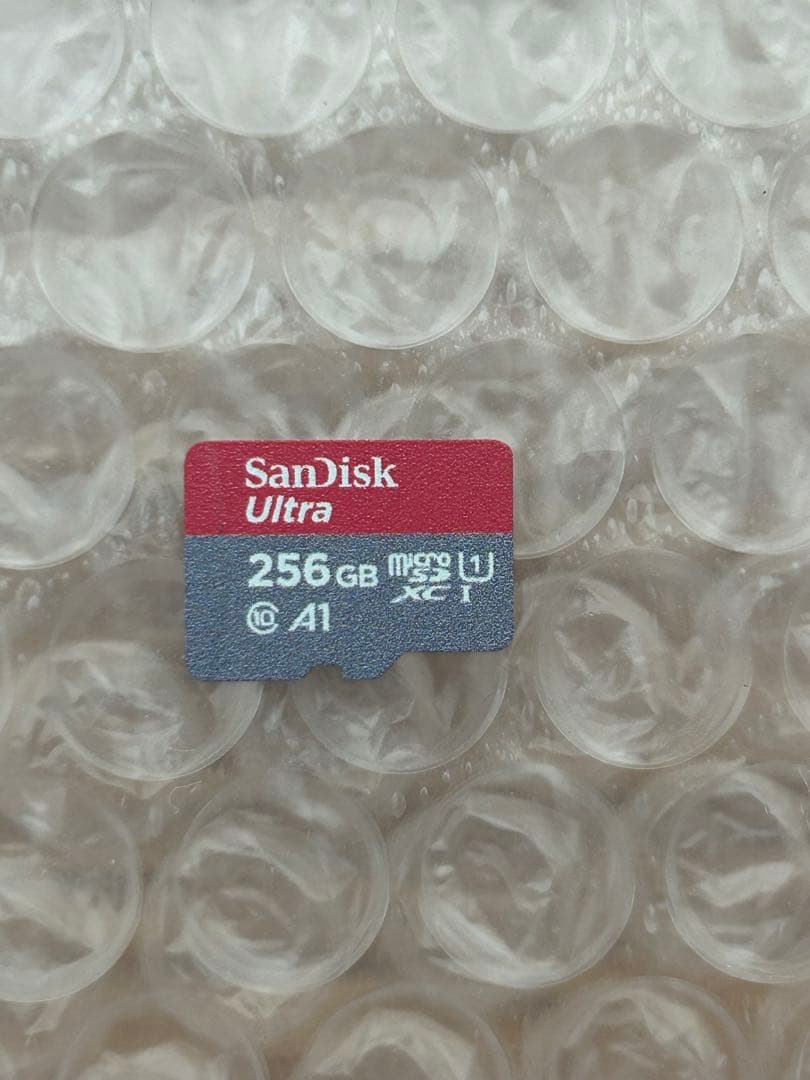 Nintendo Switch Joy-Conなし　256GB SDカード付き