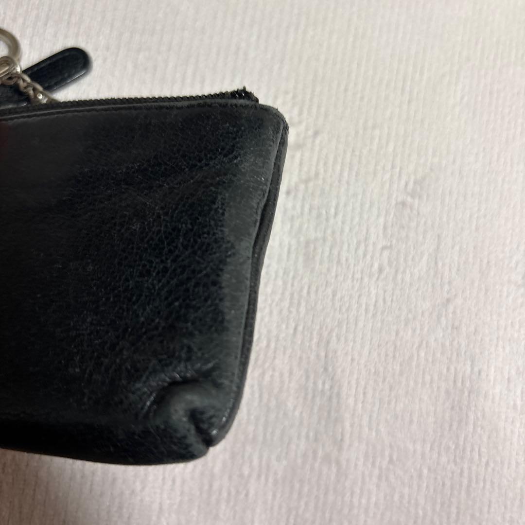 シャネル　ココカメリア　ケース