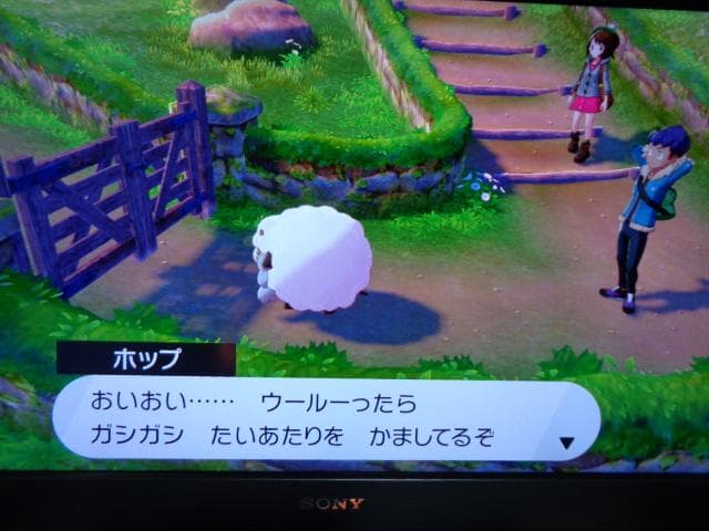 ポケットモンスター ソード + エキスパンションパス 動作可能