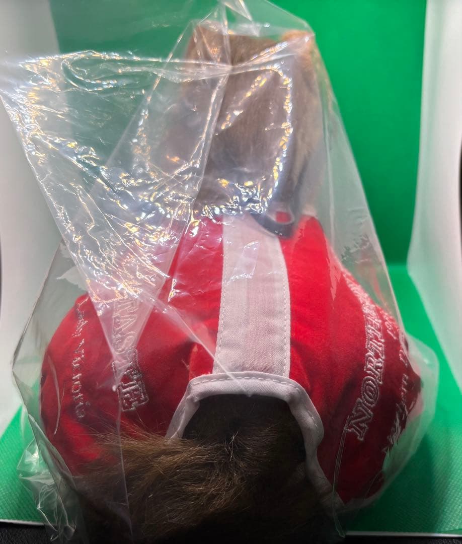 【ノーザンテースト】馬服(希少)／Sサイズ(タグ付き)／アバンティ社製