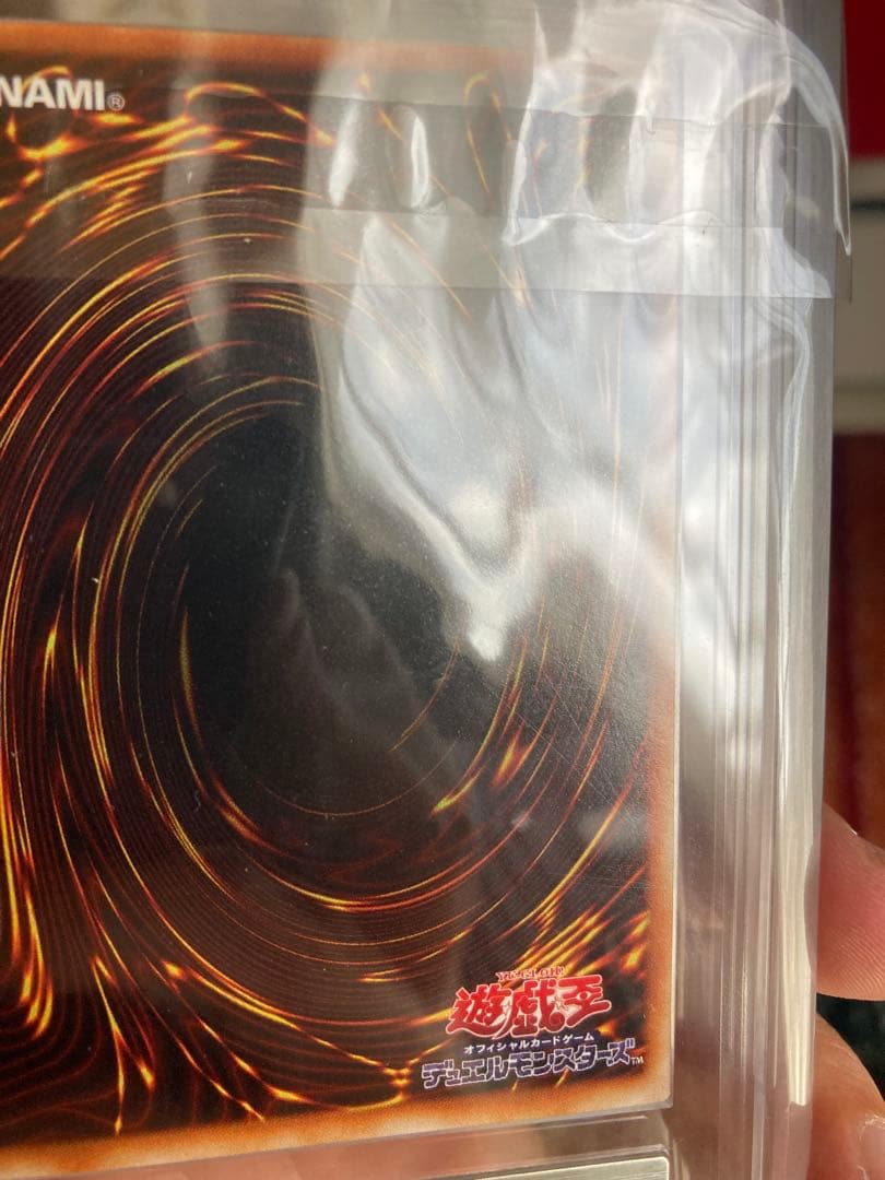 ワッター　8月31日12時迄　ブラッド・ヴォルス ウルパラ　ARS8