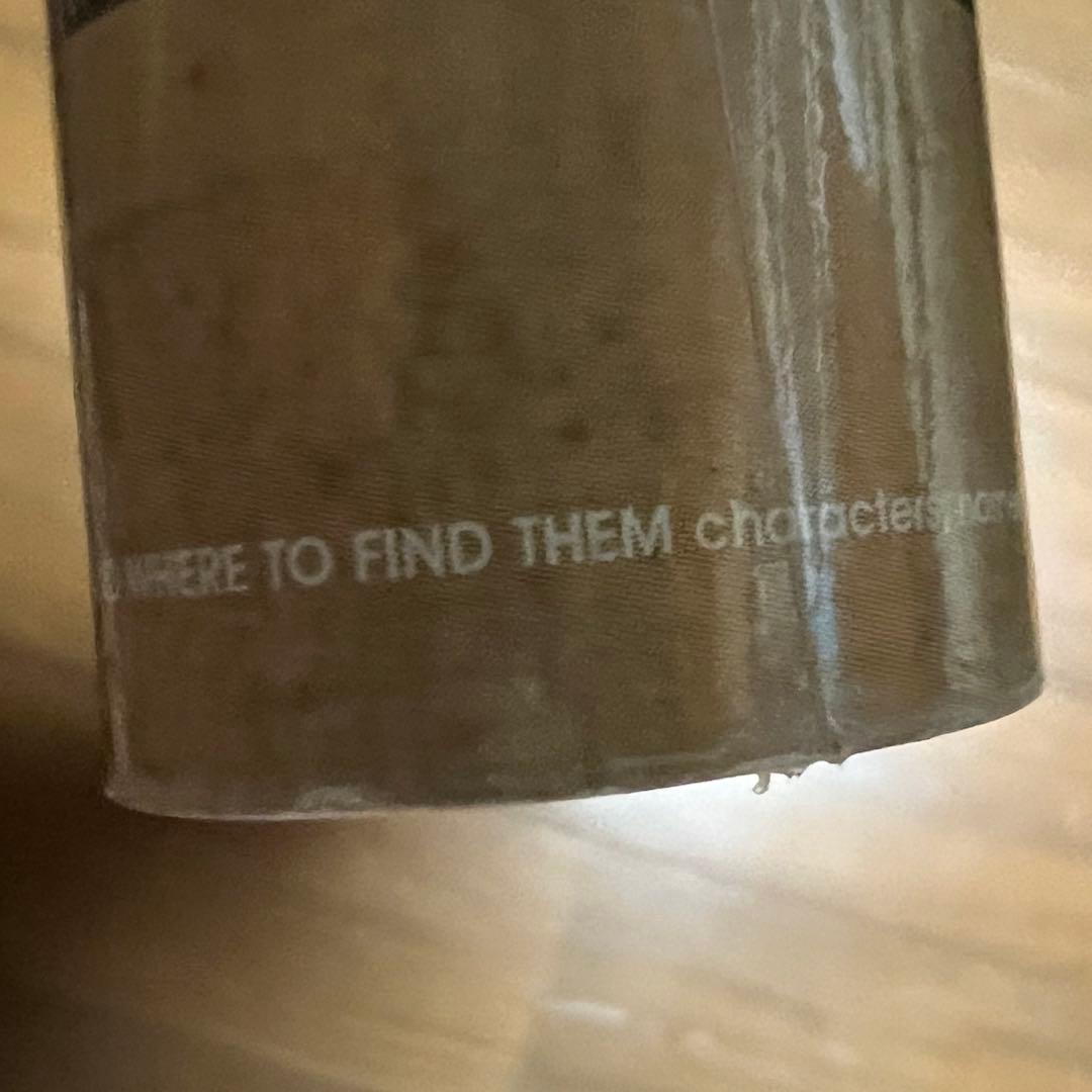 ロンドン購入 FantasticBEAST 地図 ポスター