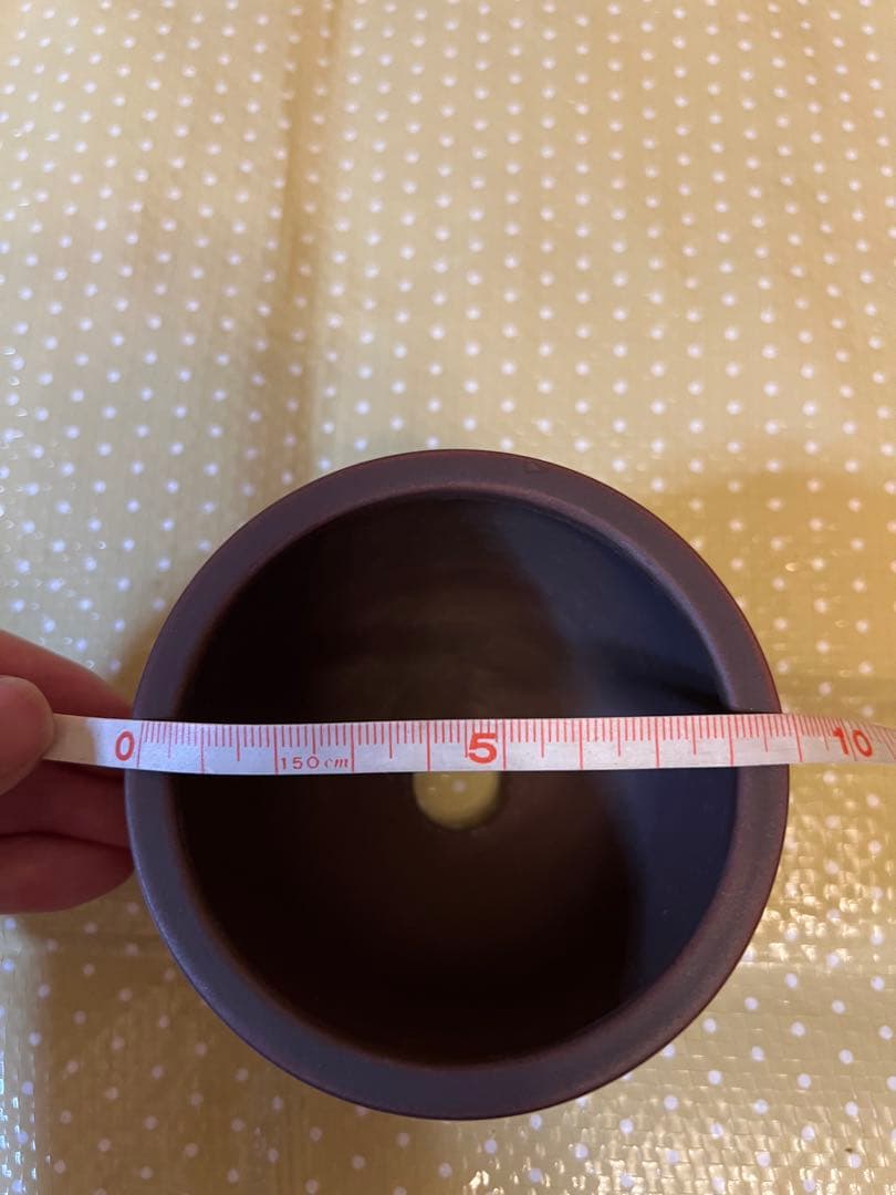 盆栽鉢 美芸 雷紋柄