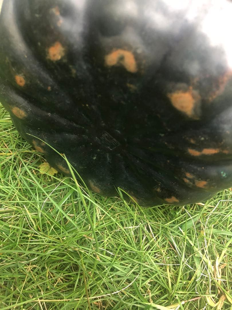 鎚起銅器　皆川堂　水差し　茶道具　金属工芸