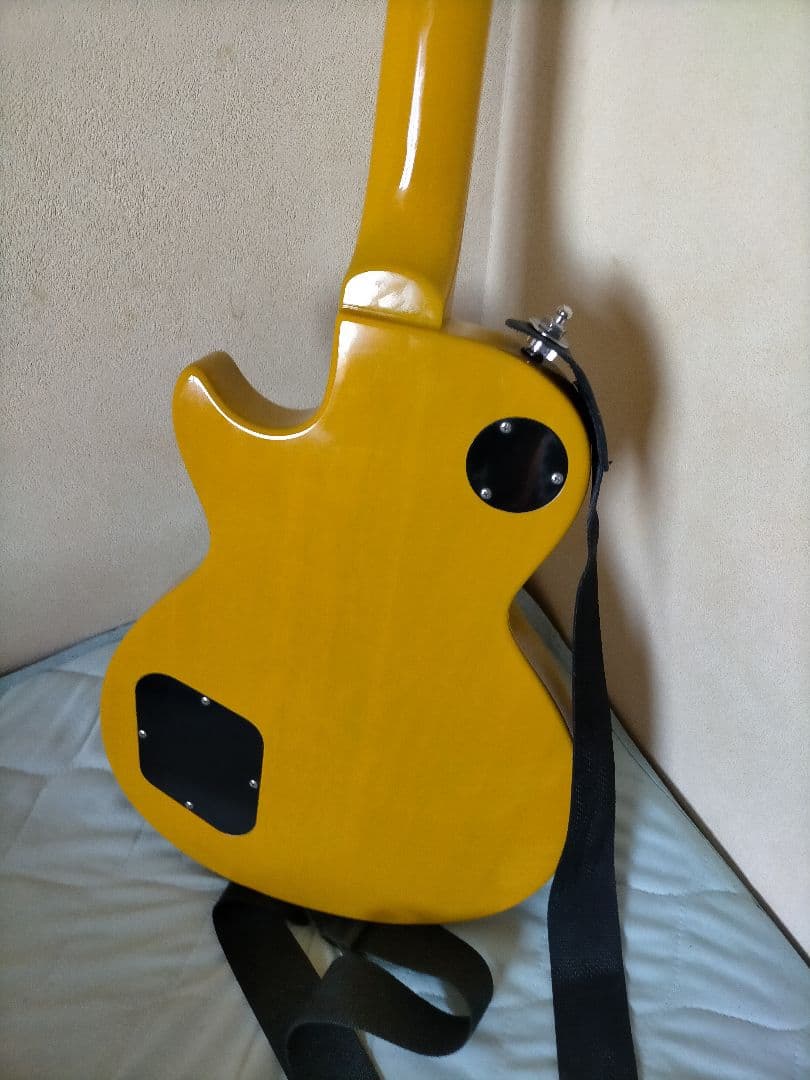 Blitz by AriaProⅡ レスポールスペシャルタイプ