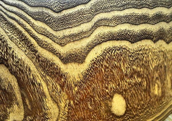 古物出し 古桐制火鉢 古桐木 年代物の通販はau PAY マーケット - 輸入