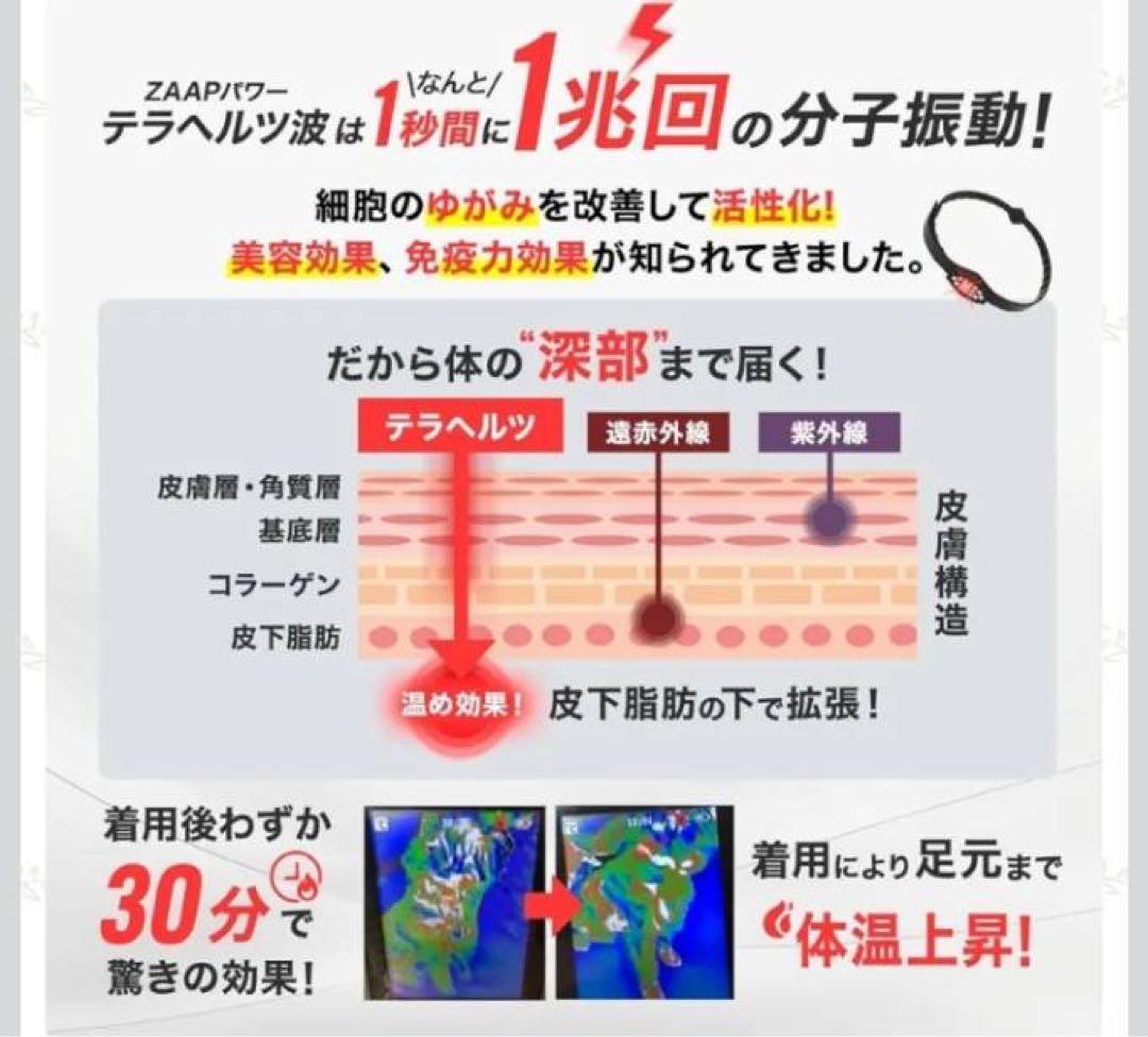 ZAAP Pemily 医療機器搭載 ペット用ネックレス 首輪