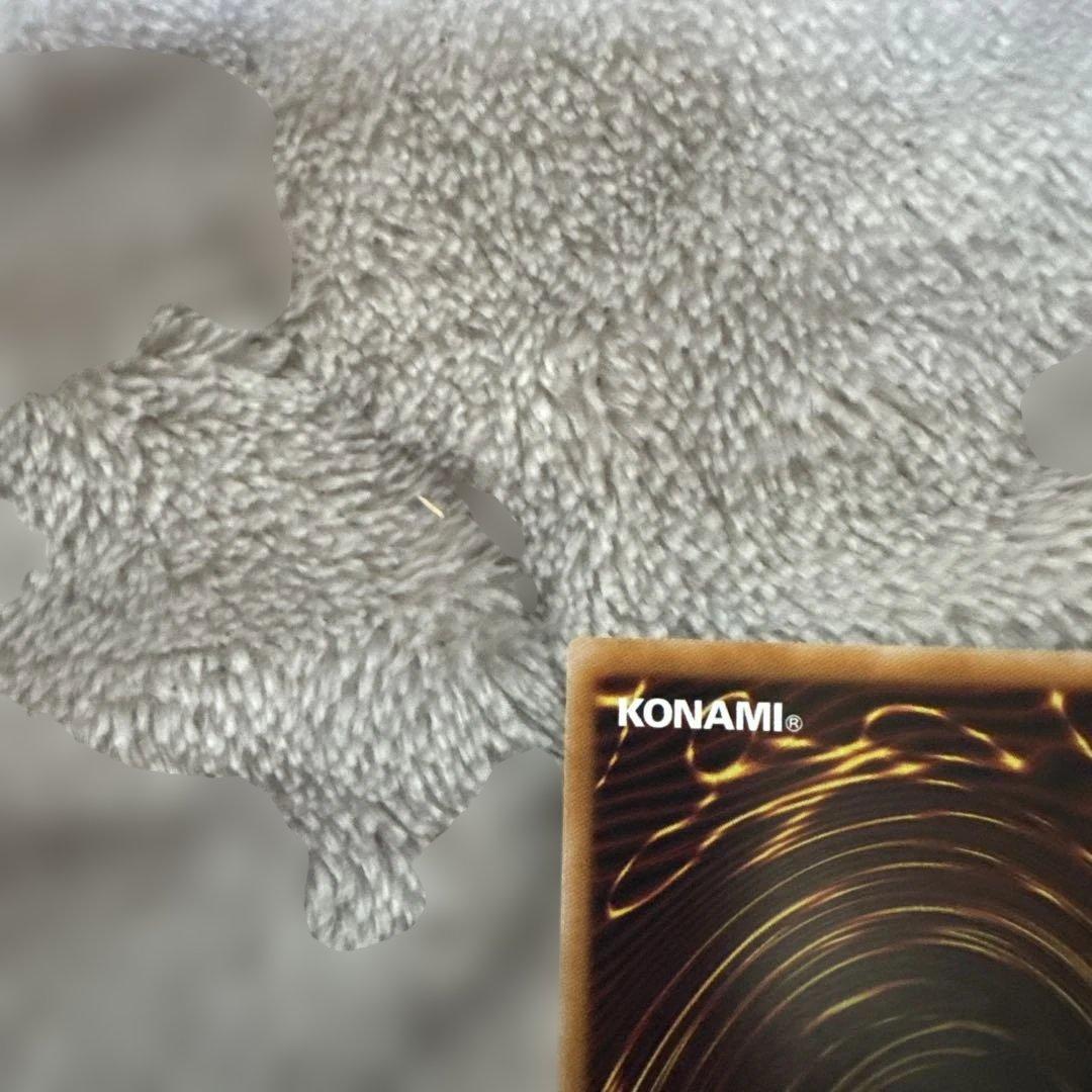 遊戯王 The Fallen & The Virtuous プリシク ローダー付