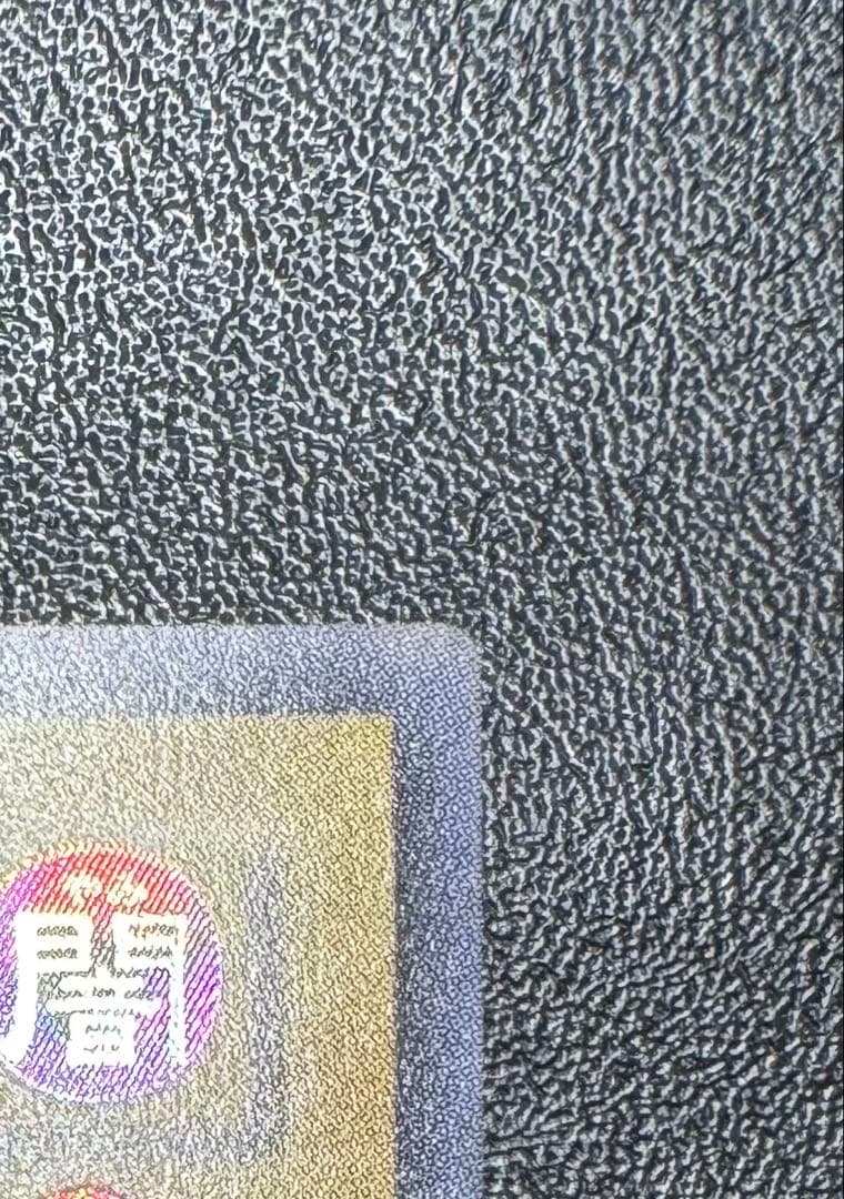 【親知らず】 レッドアイズブラックドラゴン/真紅眼の黒竜/ 遊戯王/レリーフ