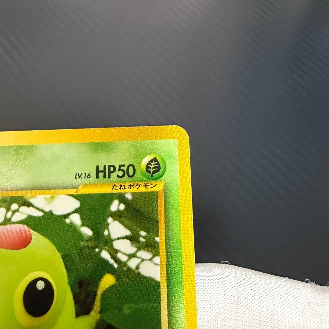 【遺跡をこえて…】旧裏まとめ売り　ポケモンカード　18枚