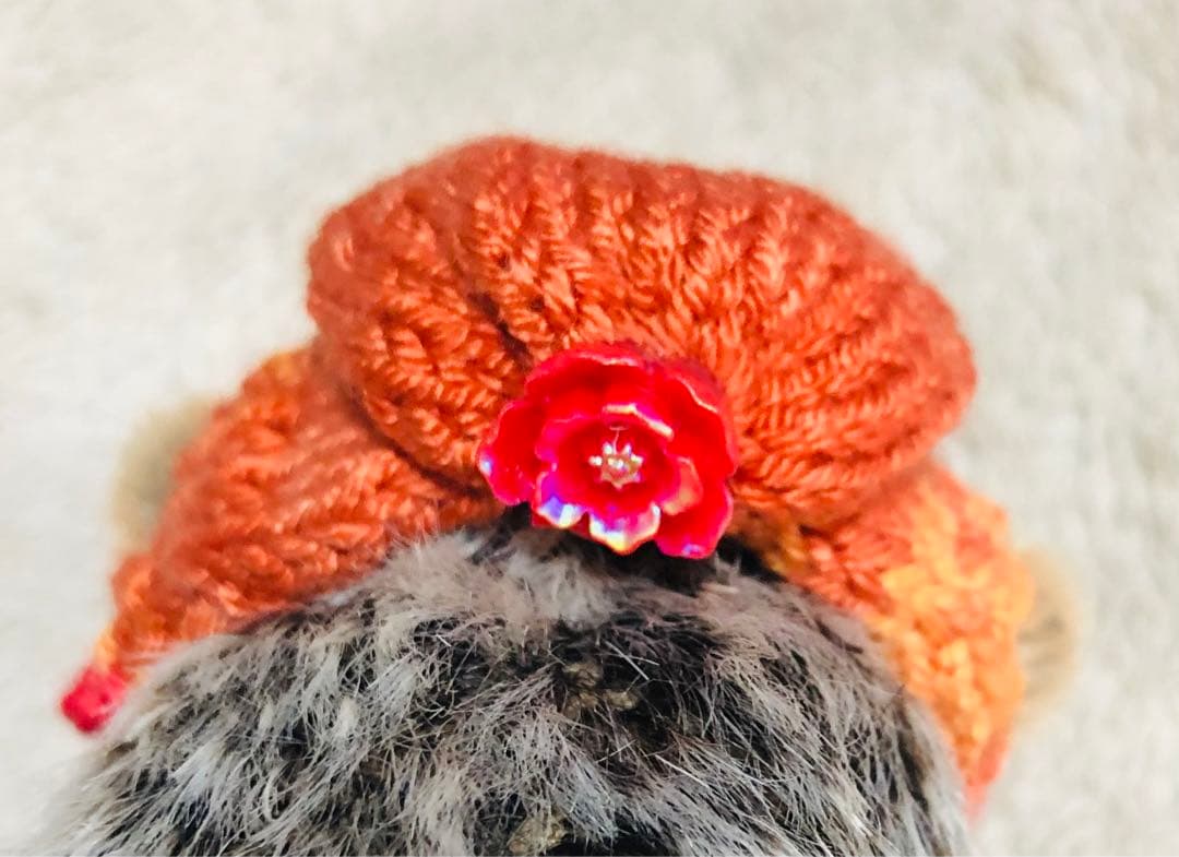 海外作家様 ハンドメイド ぬいぐるみ ハリネズミ 帽子付き