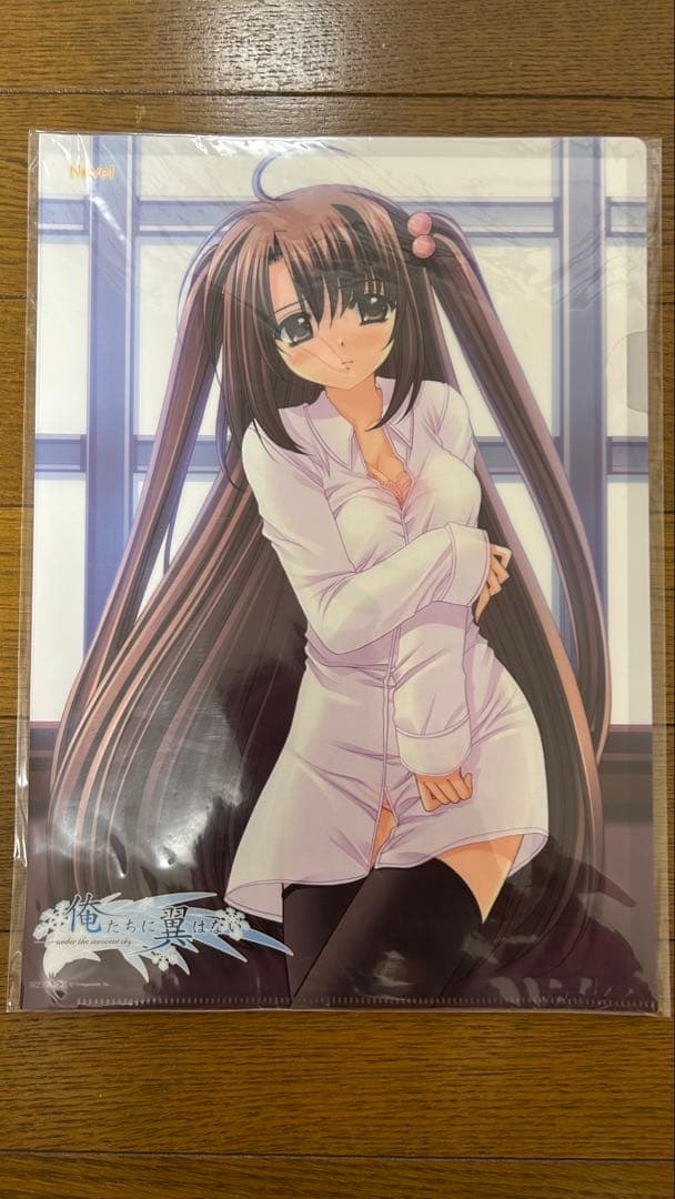 俺たちに翼はない Limited Edition 特典集