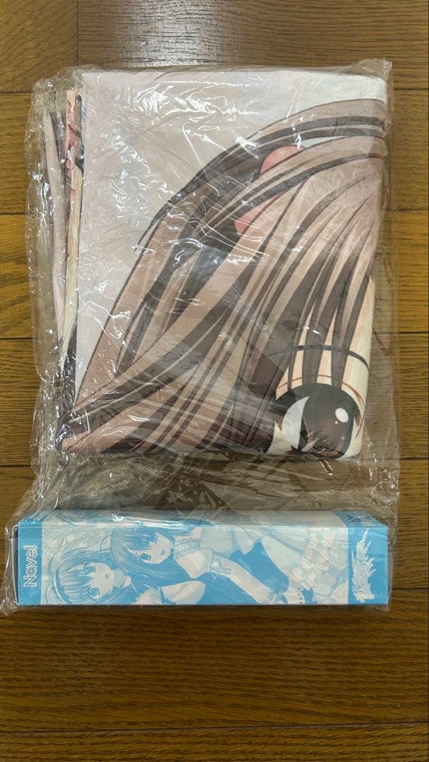 俺たちに翼はない Limited Edition 特典集