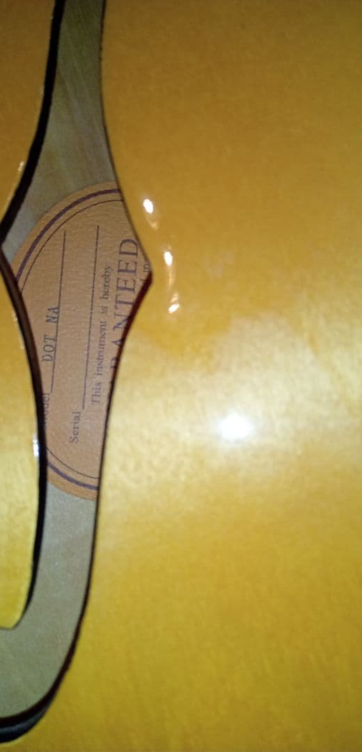 Epiphone DOT セミホロウボディ ナチュラル Epiphone DOT NA セミアコ