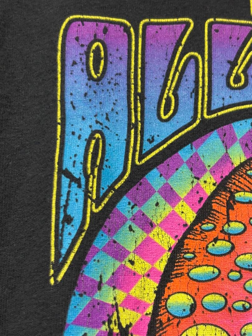 オールマンブラザーズバンド Allman Brothers Band Tシャツ｜オール