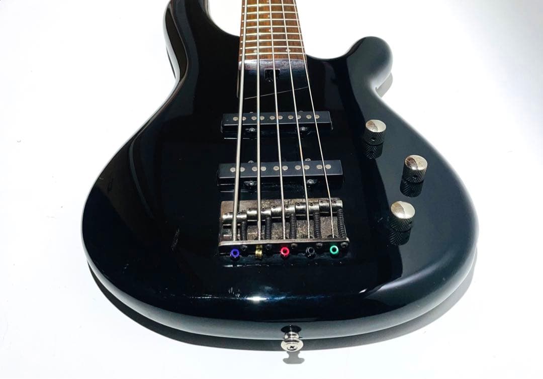 希少】Fernandes フェルナンデス Gravity 5X 5弦ベース