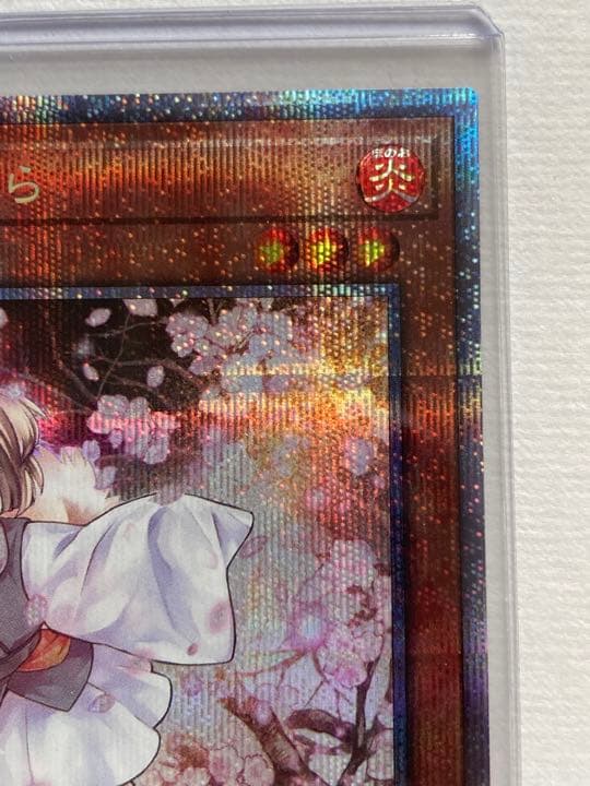 遊戯王　灰流うらら　プリシク