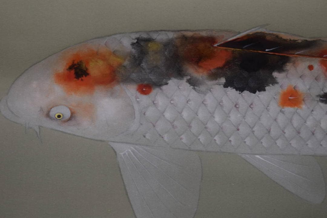 真作/樹下孝太郎/双鯉図/桐共箱太巻箱付/布袋屋掛軸HH-95