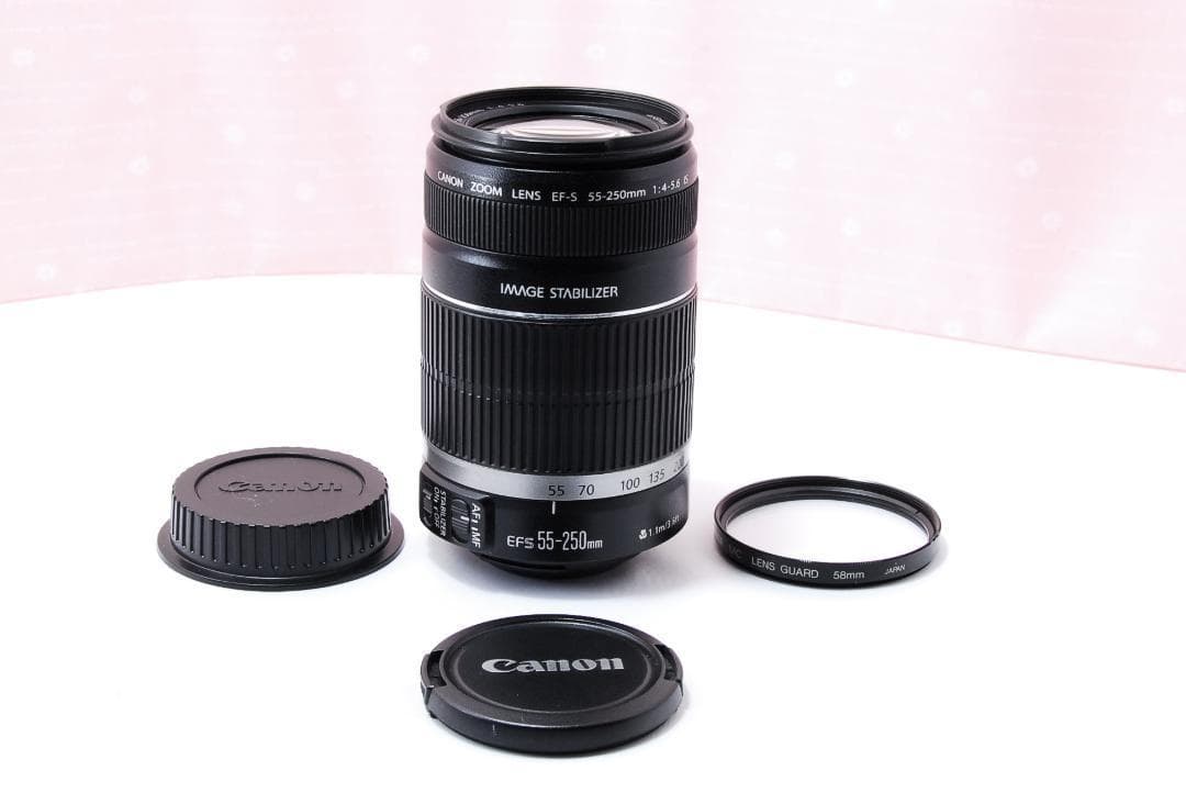 〓手ブレ補正〓キヤノン EF-S 55-250mm F4-5.6 IS 望遠
