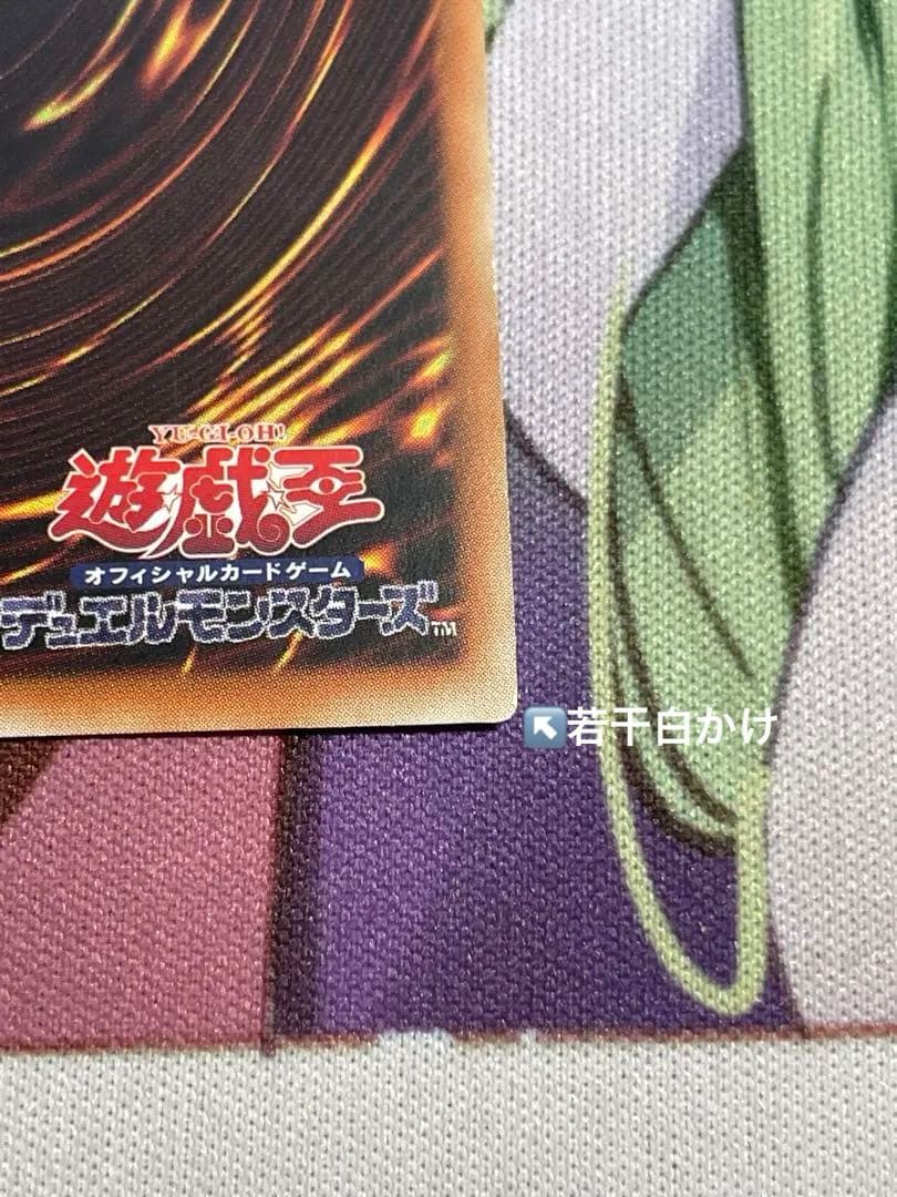 青眼の白龍　25thシークレット　クオシク　アジア　QCCP