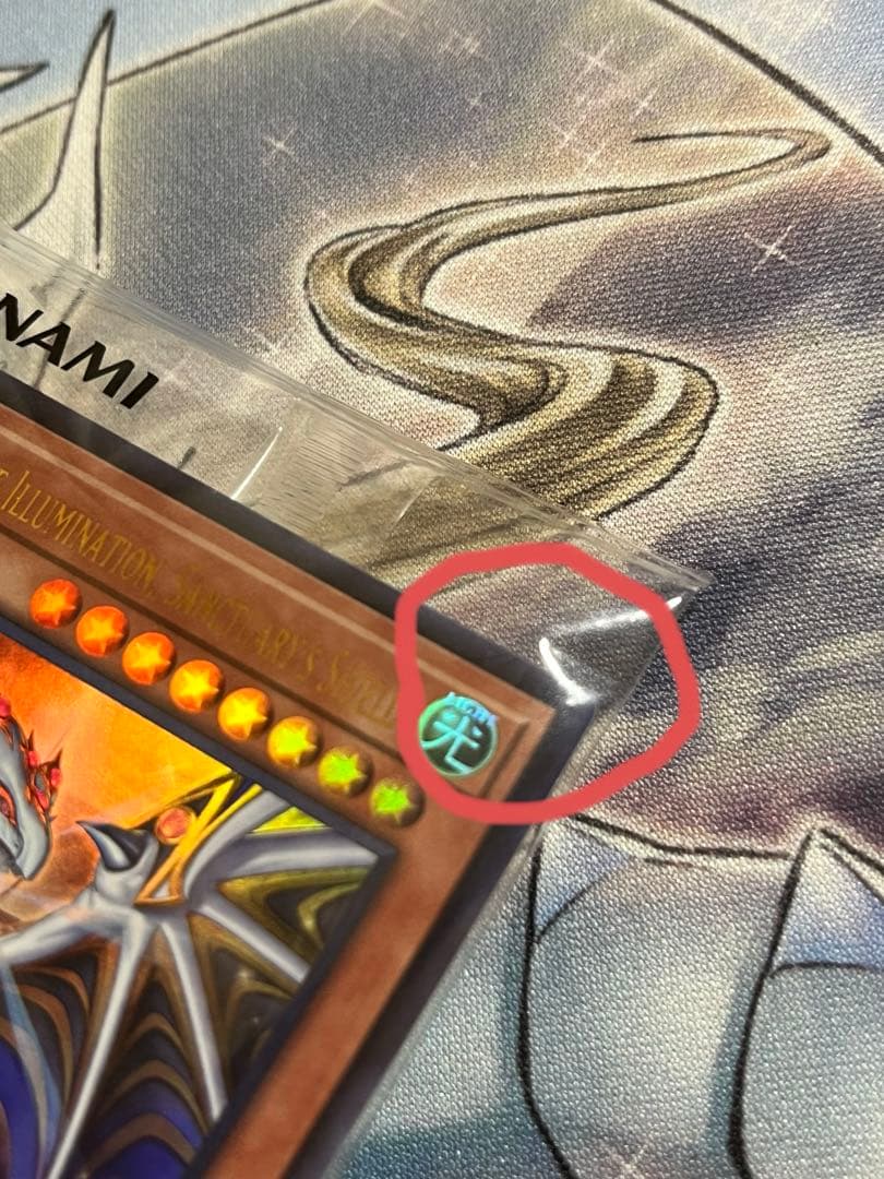 2025年　日本選手権　優勝　プロモ