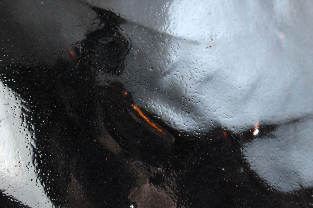 No4476 中国美術 磁州窯 黒釉葉文扁壷 木製台/木箱付 花器 送料無料