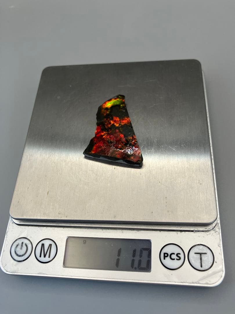 化石 原石 アンモライト アンモナイト カナダ産 幅4.4cm 箱付き