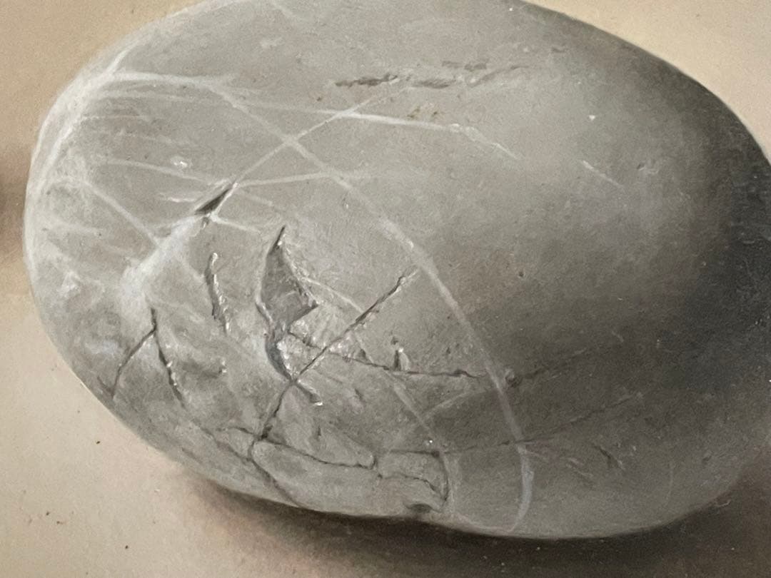 画家　橋本直行　油彩画　油絵　石　写実画　静物画　写実油彩画　額入