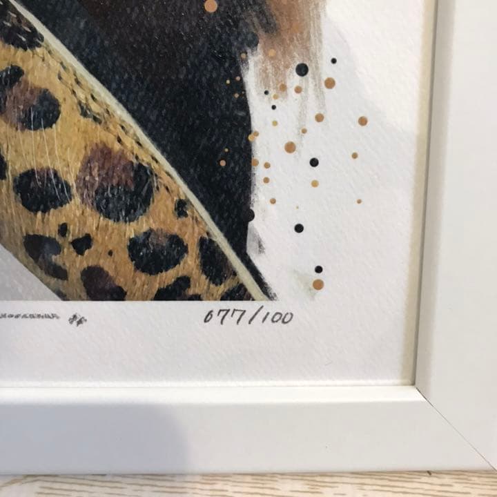 Reina Koyano Concrete Jungle アトモス限定