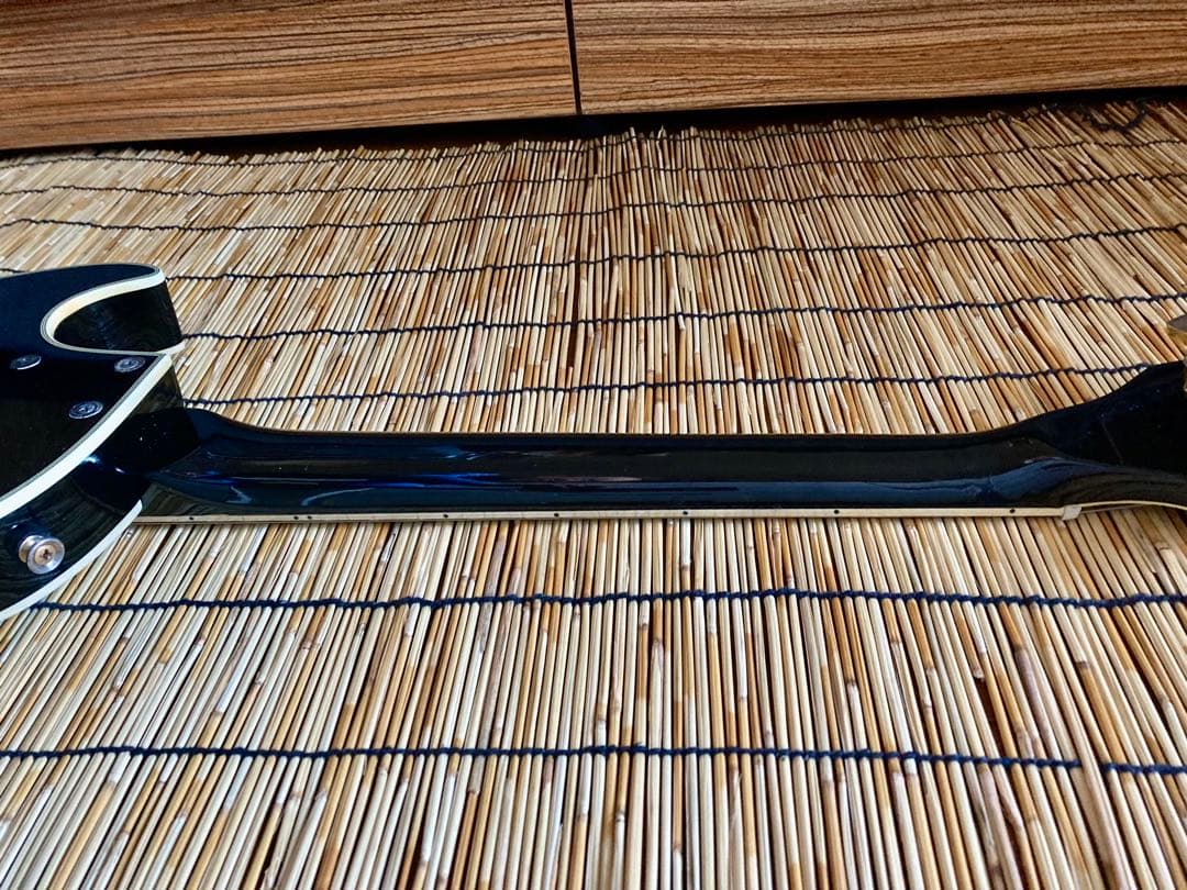 ☆再値下対応☆ビンテージ+新機能 東海楽器の海外ブランドGESSION