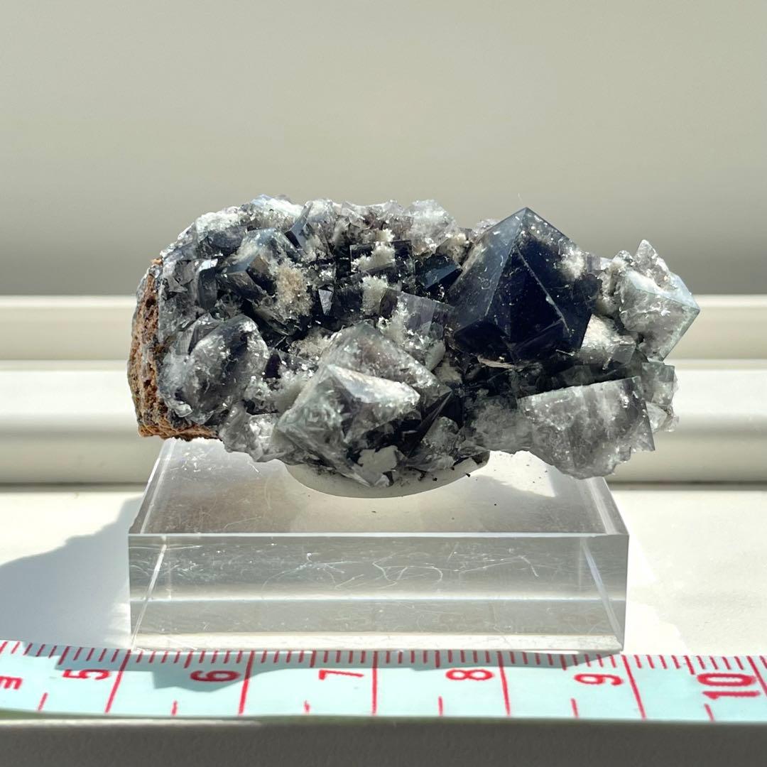 Diana Maria Smoky Rabbit Pocket フローライト - メルカリ